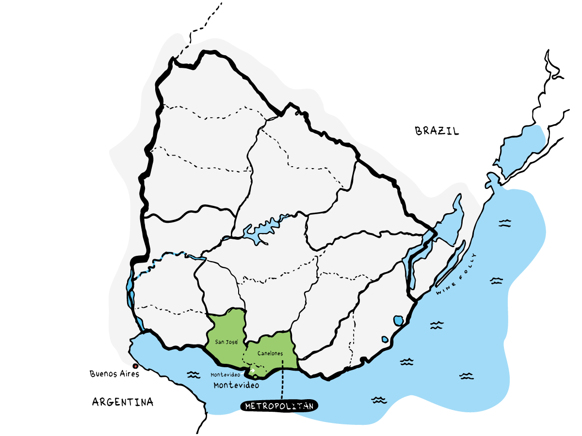 Metropolitan Wine Region of Uruguay