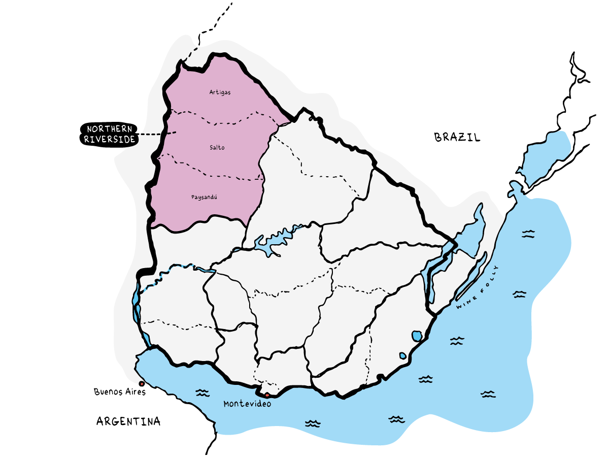 Northern Riverside Wine Region of Uruguay