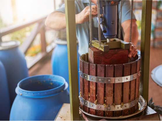 Winemaking